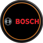 Bosch kazn